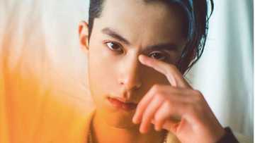 Dylan Wang age, height, girlfriend, and movies