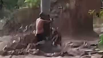 Magsasaka sa Maasim, Sarangani, nakaligtas sa flashflood matapos kumapit sa puno ng niyog