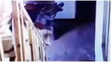 Mga "pangbabastos" ni biyenan sa kanya, nahuli-cam ni manugang