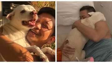 Jhong Hilario mourns death of his beloved pet dog: “15 years”