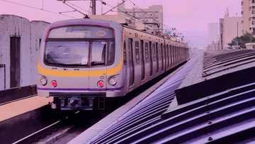 Student dies after fall from LRT-1 station platform in Quezon City