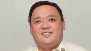 Old photo of Harry Roque raising "UP Fight" sign goes viral
