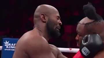 Announcers stunned as professional boxer Jarrell Miller’s hair flies off during heavyweight bout