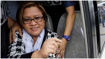 Kapatid at taga-suporta ni De Lima, hiling na makalaya na ang senadora