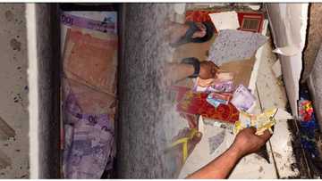 Isang ina, nawindang sa natuklasang pera matapos habulin ang isang daga