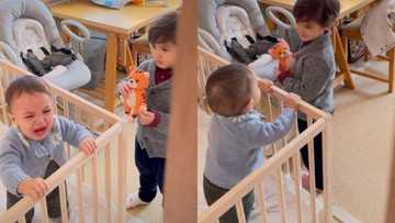 Panganay ni Isabelle Daza, hinangaan kung paanong napatahan ang bunsong kapatid