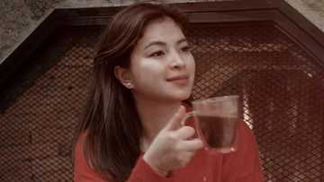 Angel Locsin says she’s now rooting for presumptive president, vice president, senators