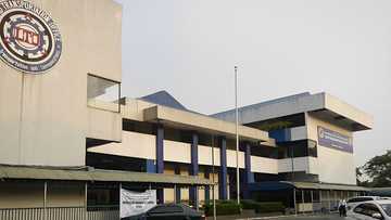 LTO suspends pickup driver’s license for 90 days over alleged motorcycle collision in Taguig