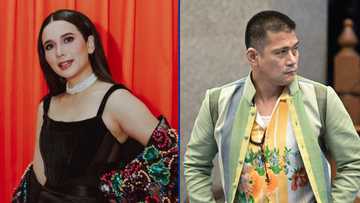 Karylle, may matinding pahayag laban sa Senado at nadamay pa si Tito Robin niya