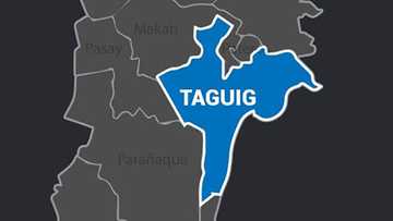 Suntukan sa ibabaw ng jeep sa Taguig, inaksyunan na ng mga awtoridad