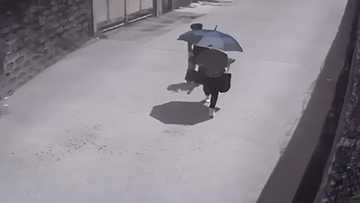 The Pampanga snatcher who dragged his victim after snatching her bag was arrested by authorities