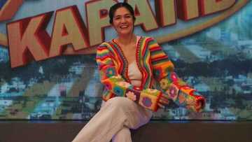 Dimples Romana, nagbalik-tanaw sa kanyang 29-year showbiz journey
