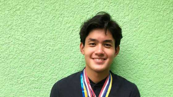 Mark Anthony Fernandez's son Grae Fernandez amazes his followers with his school awards