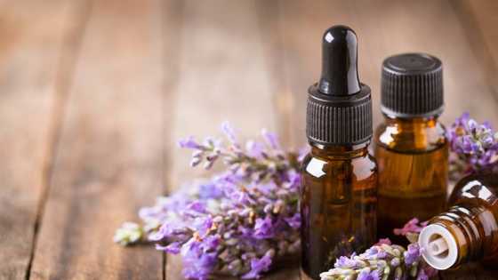 Where to buy essential oils in Manila