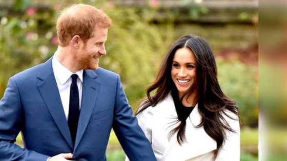 Meghan Markle gives birth to a baby girl: Lilibet Diana