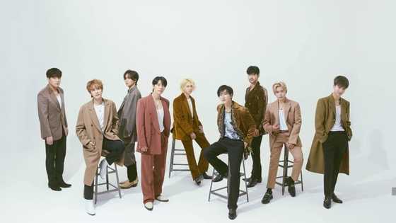Super Junior members profile: names, age, birthdays, profile