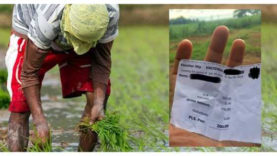 'Payslip' ng magsasakang Pinoy, isiniwalat ng isang netizen