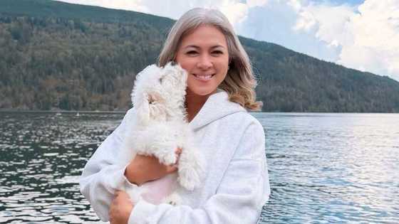Lara Quigaman looks back on her family's journey since moving to Canada