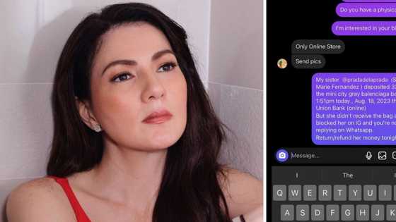 Carmina Villarroel, ipinakita ang convo niya sa nang-scam umano sa kapatid: “My sister deposited 33k”