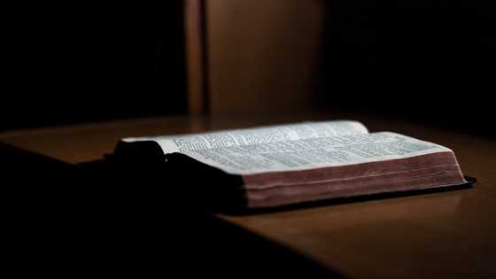 After mom's death, I found a note with an address in her Bible — I went there & was heartbroken