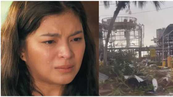 Angel Locsin, iyak nang iyak dahil sa ‘Odette’ victims, ani source ni Cristy Fermin