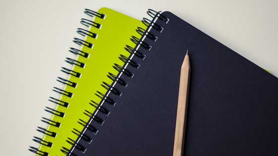 8-anyos na estudyante, nasawi matapos umanong hampasin ng notebook ng kaklase sa Davao City