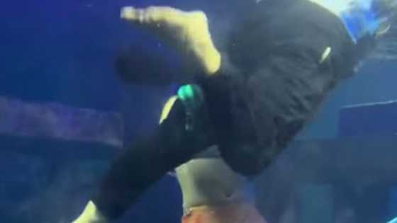 Mermaid performer sa isang aquarium, nalulunod na pala ngunit inakalang parte pa ito ng show