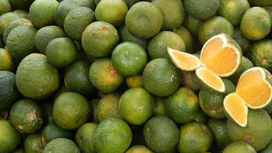 Strengthen the immune system with truly Pinoy fruits