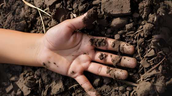 8-anyos na batang babae patay sa Novaliches, 13-anyos na suspek umamin sa krimen