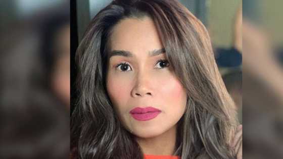 Pokwang lambasts dolomite project in Manila: "Aksaya ng pera!"