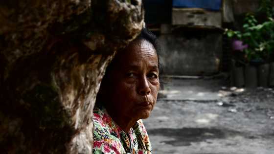 My grandson's paper airplane revealed my DIL's secret that got me banned from seeing him