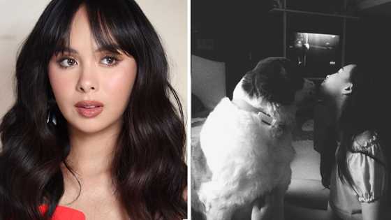 Kaila Estrada mourns death of her pet dog: "Never thought you would leave us so soon"