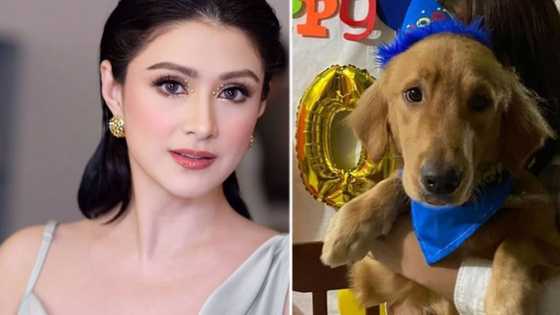 Carla Abellana, sinabing "soon" ay makukuha ni Killua ang hustisya