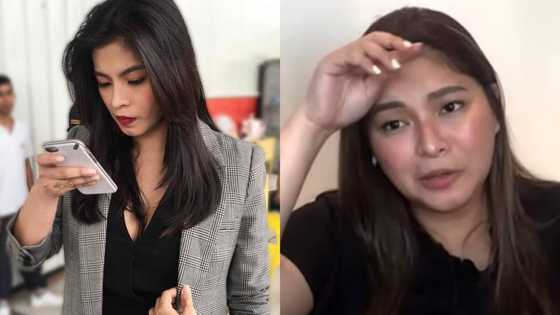 Angel Locsin, humingi ng sorry sa netizen na kumuha ng kanyang username sa Lyka