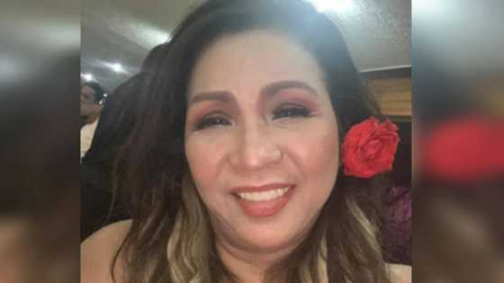 Last post of Claire dela Fuente against "oppressors" of her son, friends, goes viral