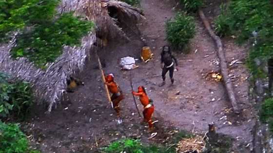 Untouched Amazon Tribe Sees Airplane For The First Time