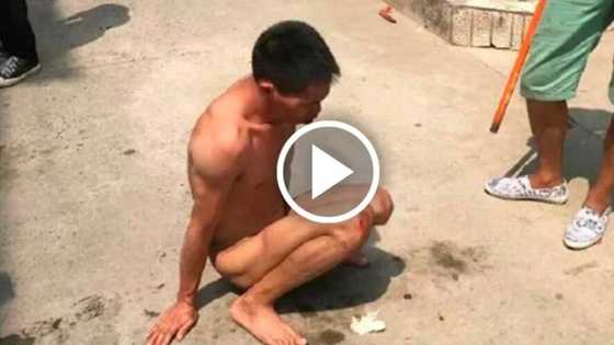 Footage shows how Chinese people punished a perverted man for having sex with a lot of dogs!