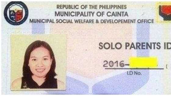 Single parent ka ba? how to get a Solo Parent ID and its benefits