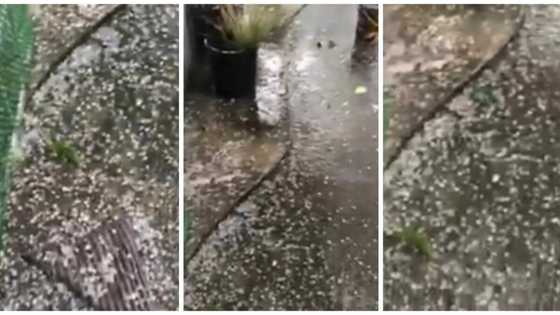 Umuulan ng yelo sa Bulacan kaninang hapon nakunan ng isang bayan patroller