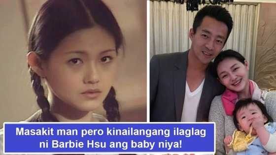 Masakit na desisyon! Barbie Hsu, Meteor Garden's Shan Cai, terminates pregnancy after baby's heart stopped beating