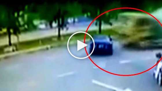 Notorious carnapper gets crushed by massive truck while trying to escape in stolen car