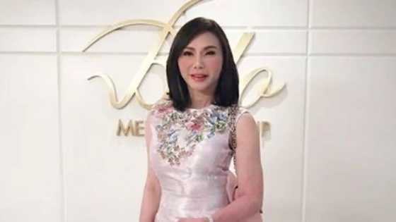 Vicki Belo, kumuha ng designers sa U.S. para gumawa ng kanyang bonggang Christmas tree
