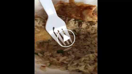 Netizen finds a disturbing creature in fast food chain's rice meal