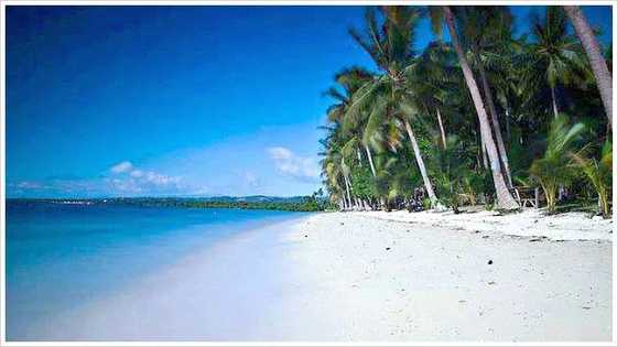 5-anyos, patay pagkatapos atakihin ng dikya sa isang Olongapo resort