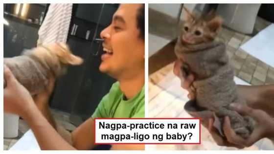 Practice daw sa pagpapaligo sa sanggol? Epic video of John Lloyd Cruz bathing Ellen Adarna’s pet kitten goes viral