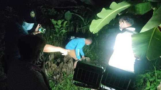 Dalagang 18 anyos, patay nang matagpuan sa Albay; boyfriend umamin sa krimen