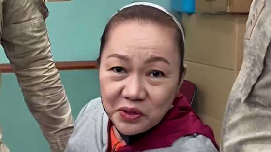 Janet Napoles, acquitted by Sandiganbayan of the plunder case filed against her