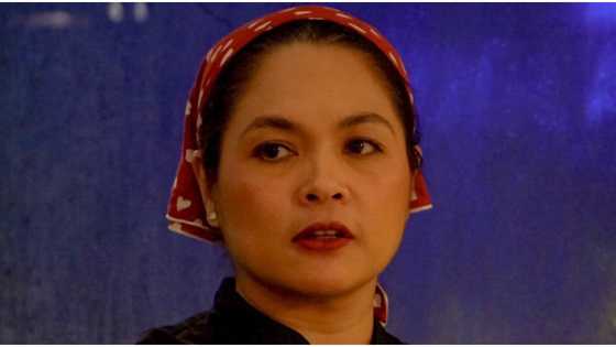 Judy Ann Santos reacts to DTI’s controversial P500 Noche Buena budget