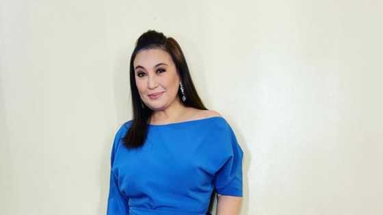 Sharon Cuneta’s Patek Philippe watch worth more than P2M stuns netizens