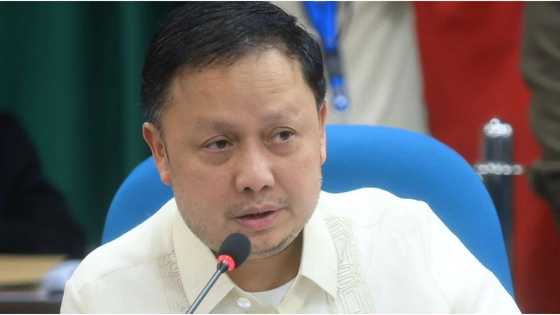 Rep. Zaldy Co loses travel clearance, ordered to return to country by new House Speaker, Dy